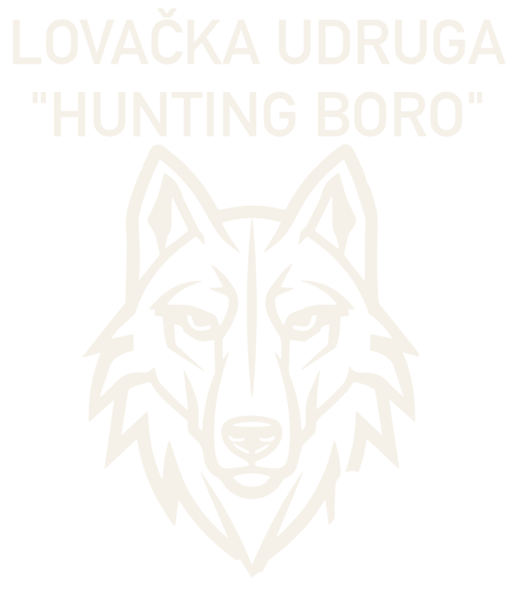 Hunting Boro club emblem — a wolf's head