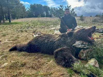 Un cacciatore dietro un orso bruno su erba secca sotto un cielo luminoso, pineta alle spalle