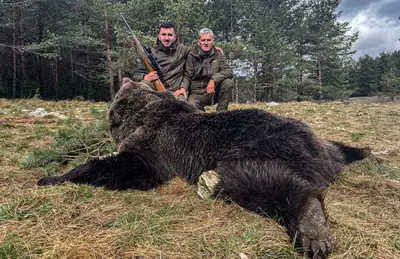 Due cacciatori in una radura dietro un grande orso bruno, pineta sullo sfondo