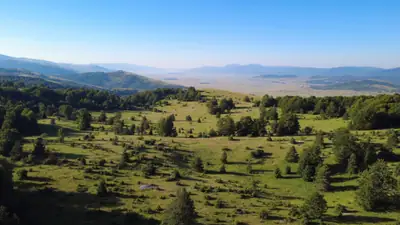 Aerial view over green highland meadows dotted with conifers, with hazy mountain ridges beyond