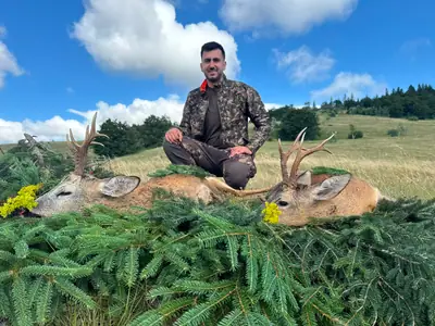 A hunter kneeling behind two roe bucks laid on spruce branches, white clouds and hillside behind