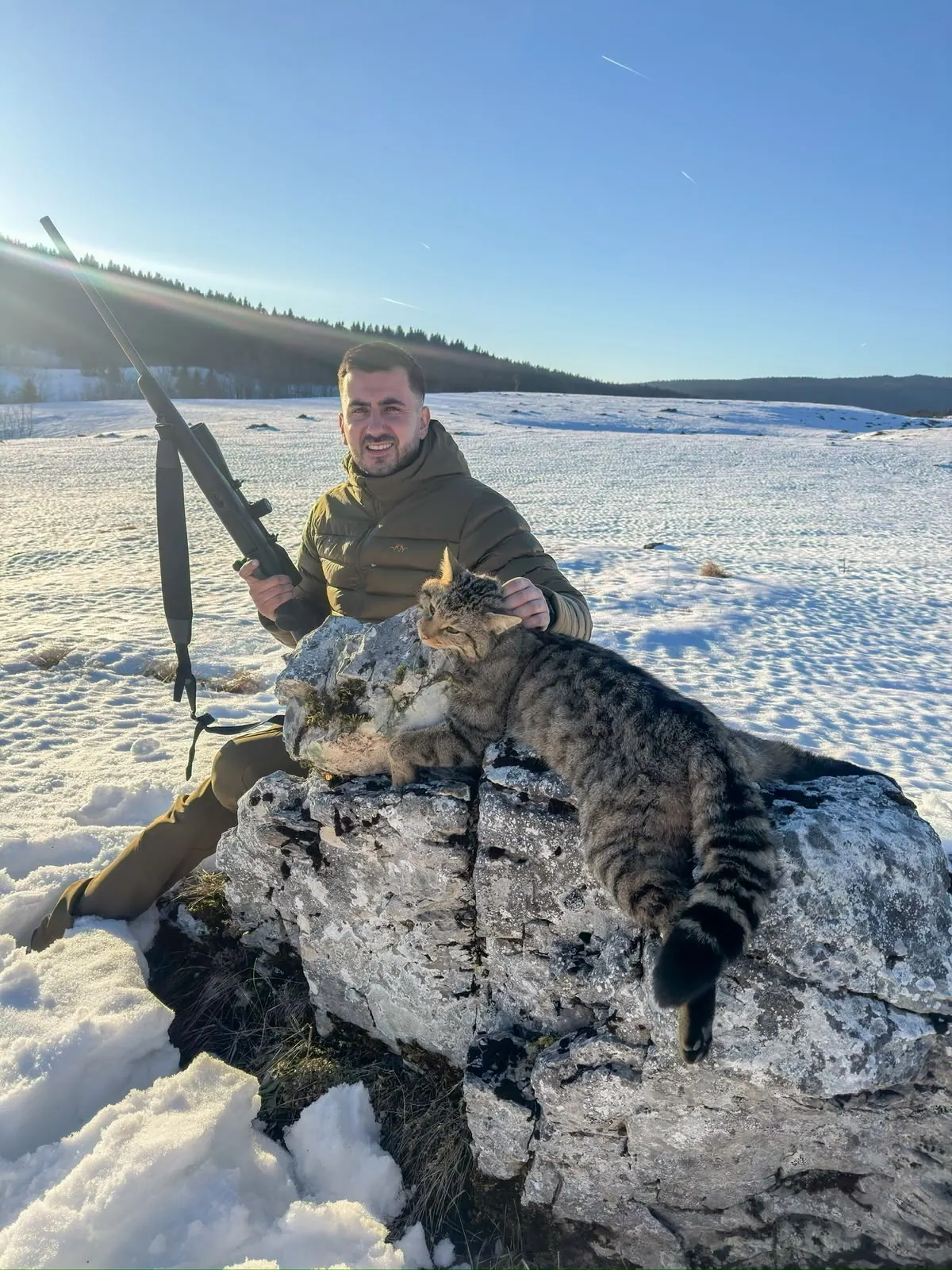 Wild cat