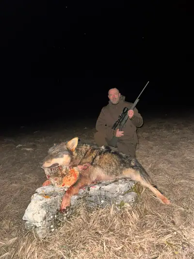 Un cacciatore con carabina dietro un lupo disteso su una lastra calcarea in aperta campagna di notte